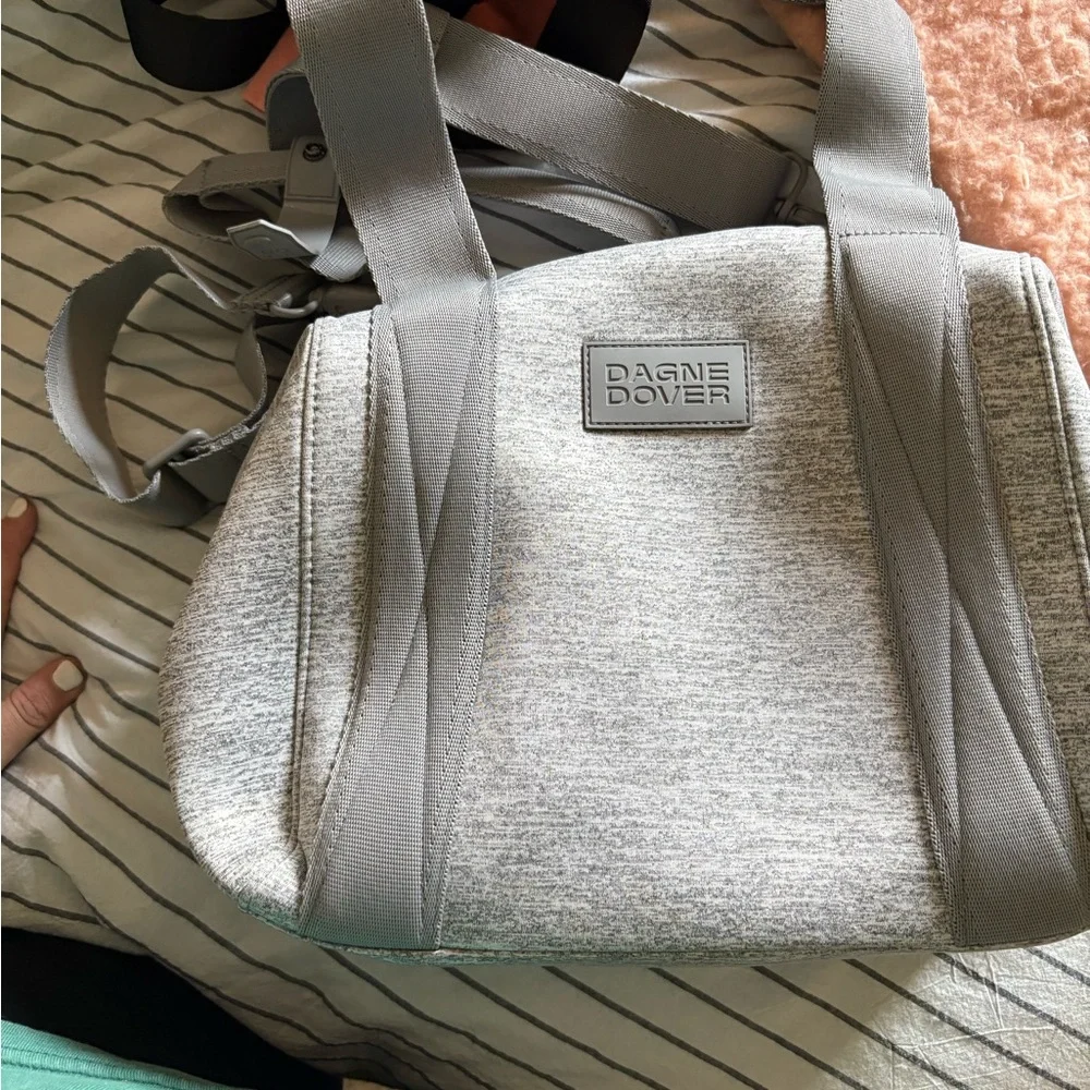 Dagne Dover Light Gray Crossbody Bag - Picture 1 of 4